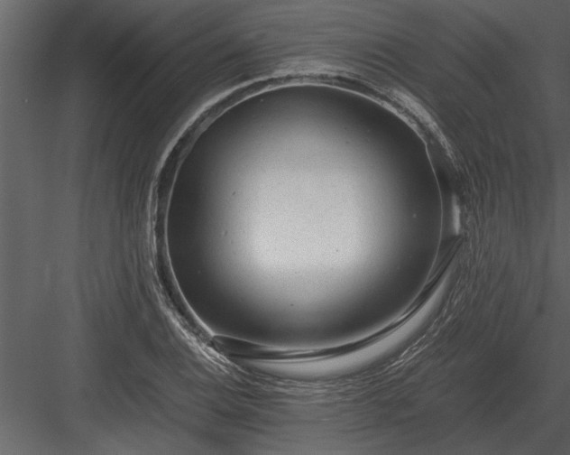 X0000084011124200702232157