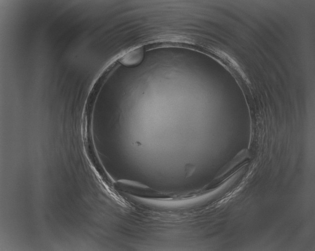 X0000084011125200702232157