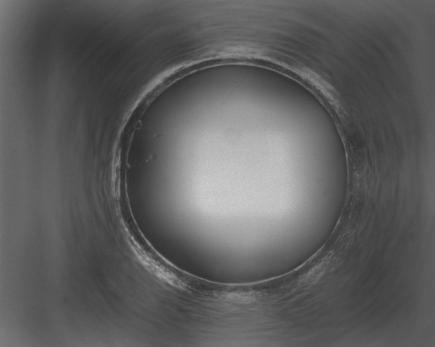 X0000084011126200702232157