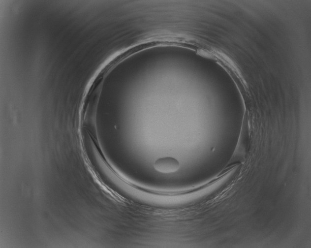 X0000084011128200702232157