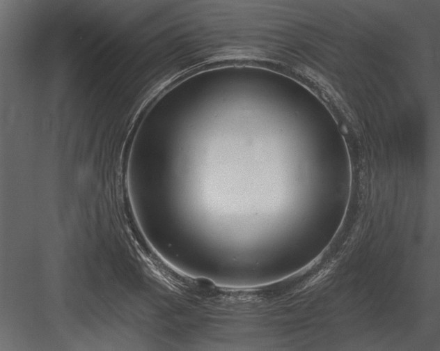 X0000084011129200702232157