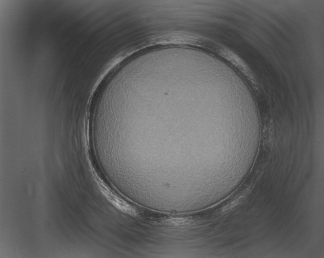 X0000084011130200702232157