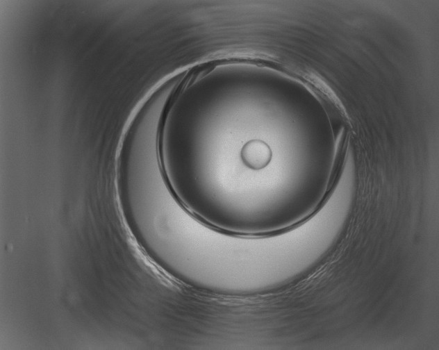 X0000084011132200702232157