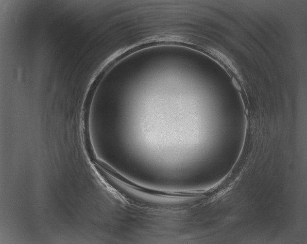 X0000084011133200702232157