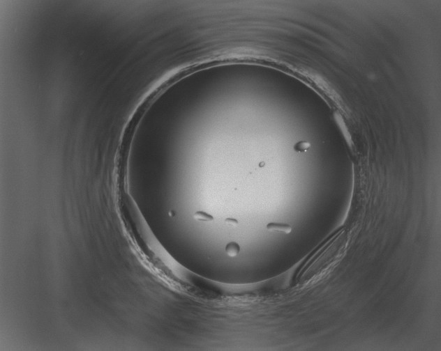 X0000084011134200702232157