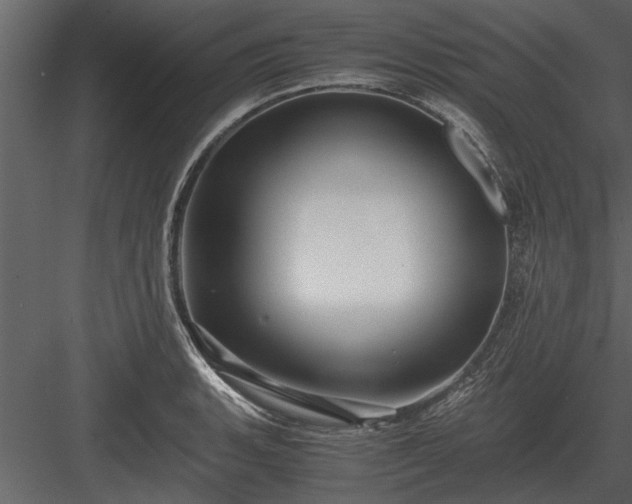 X0000084011135200702232157