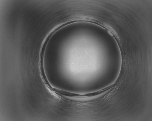 X0000084011136200702232157