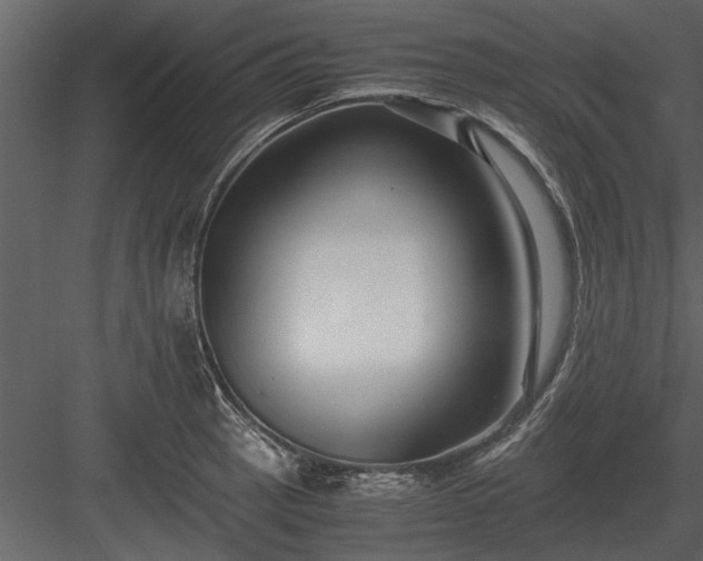 X0000084011137200702232157