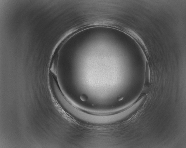 X0000084011138200702232157