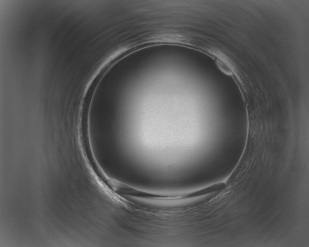 X0000084011139200702232157