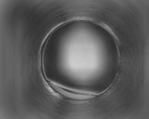 X0000084011140200702232157