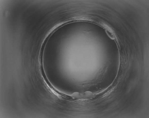 X0000084011141200702232157