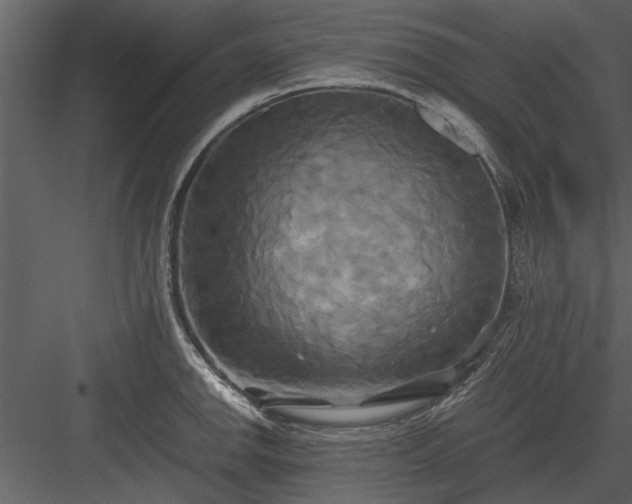 X0000084011142200702232157