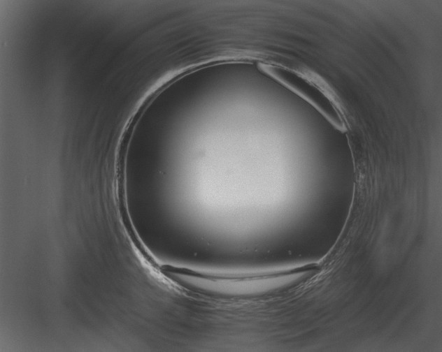 X0000084011143200702232157