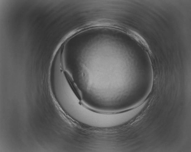 X0000084011146200702232157