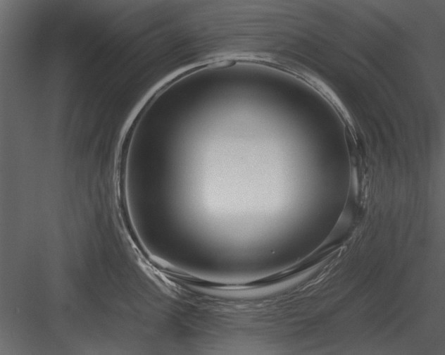 X0000084011148200702232157