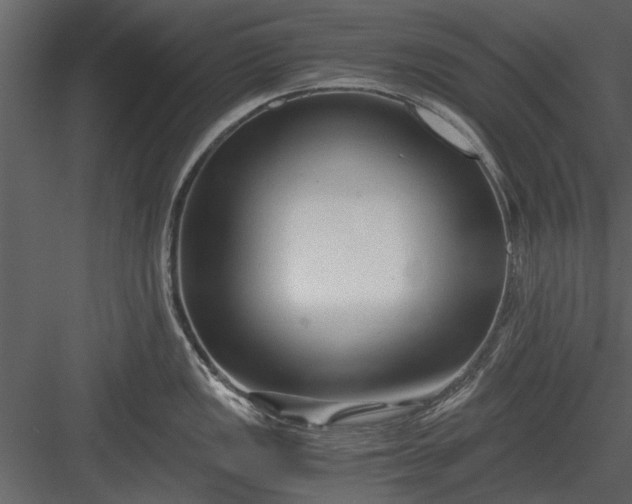 X0000084011149200702232157