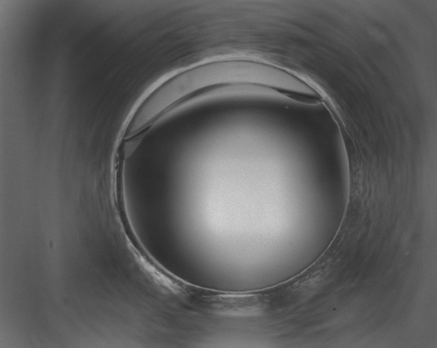 X0000084011151200702232157