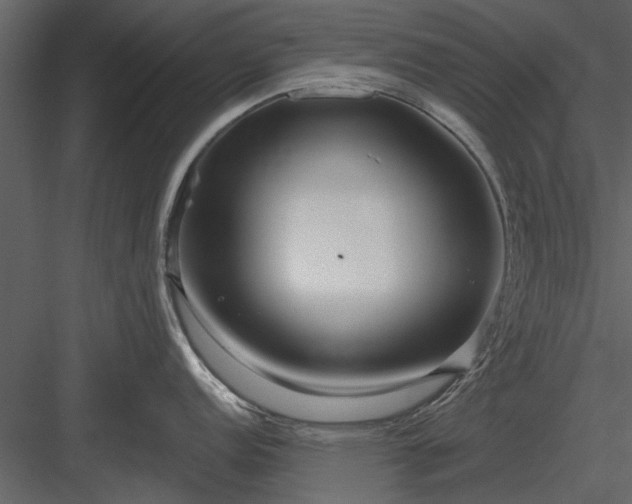 X0000084011152200702232157