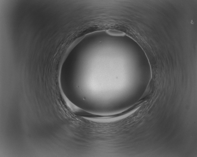 X0000084011153200702232156