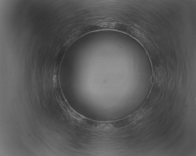 X0000084011154200702232156