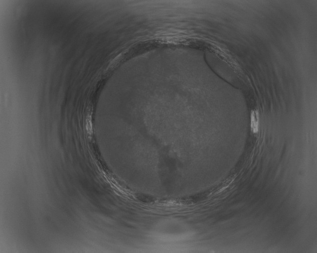 X0000084011155200702232156