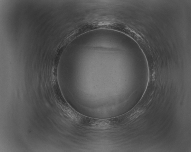 X0000084011156200702232156