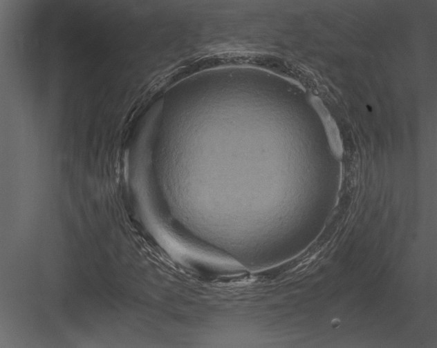 X0000084011157200702232156