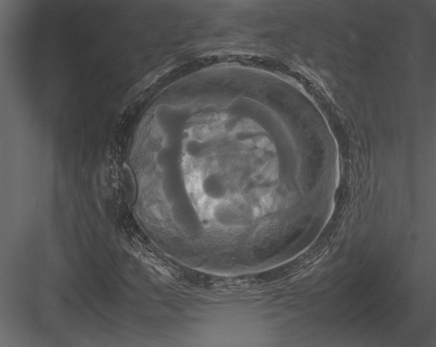 X0000084011159200702232156