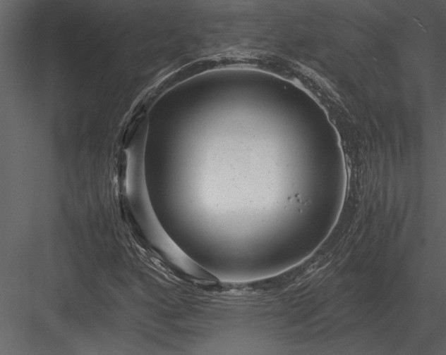 X0000084011160200702232156