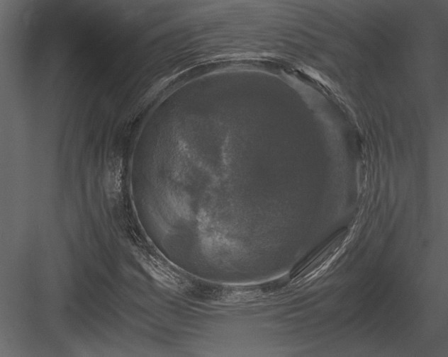 X0000084011161200702232156