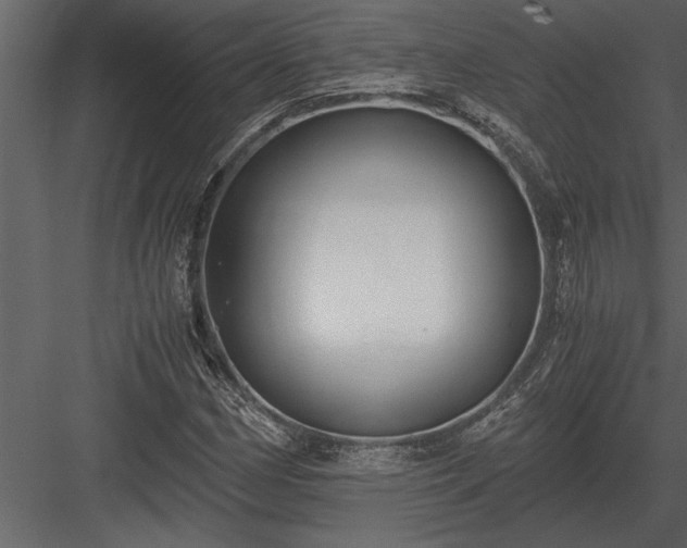 X0000084011162200702232156