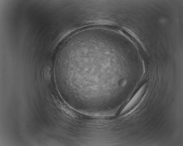 X0000084011163200702232156