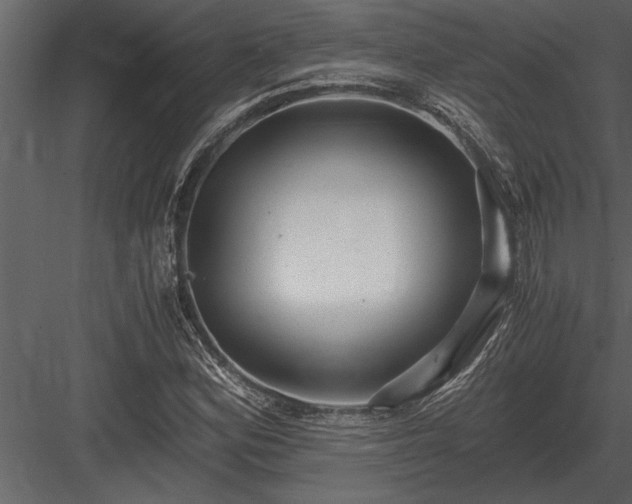 X0000084011164200702232156