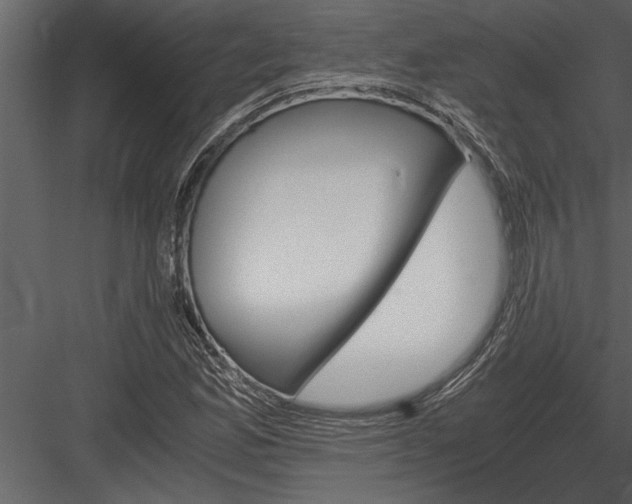 X0000084011165200702232156