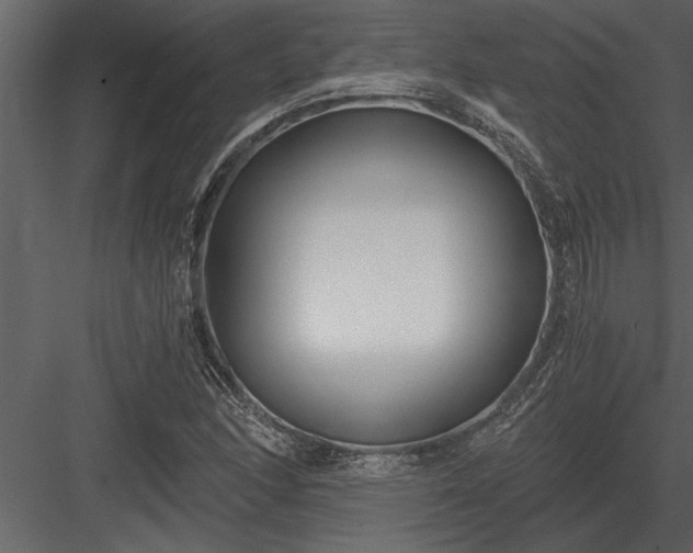 X0000084011166200702232156