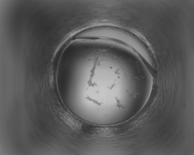 X0000084011167200702232156