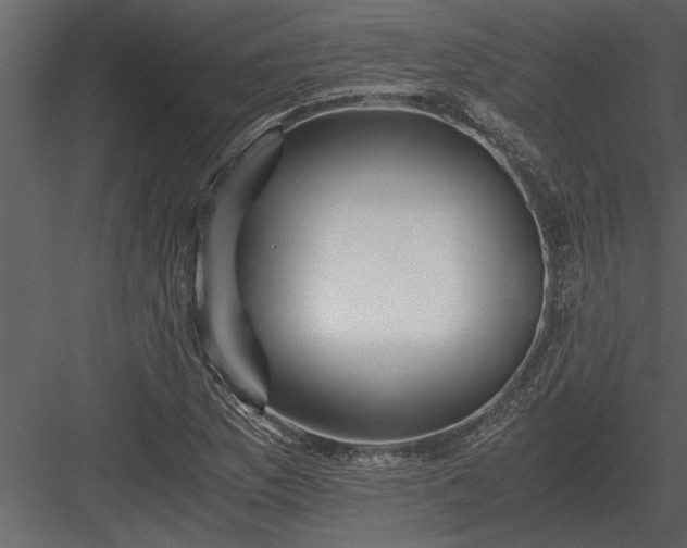 X0000084011169200702232156