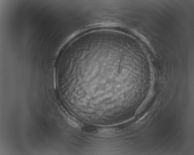 X0000084011171200702232156