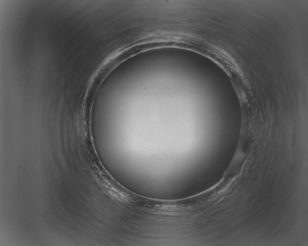 X0000084011172200702232156