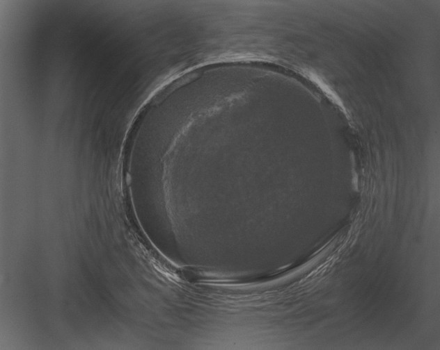 X0000084011173200702232156