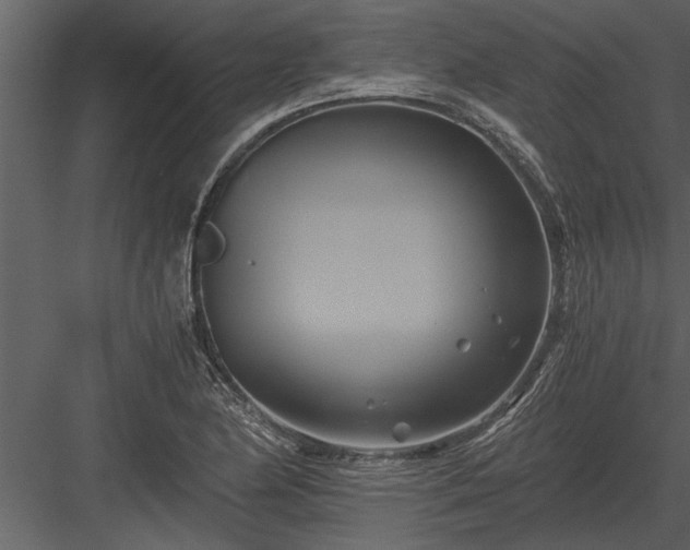 X0000084011174200702232156