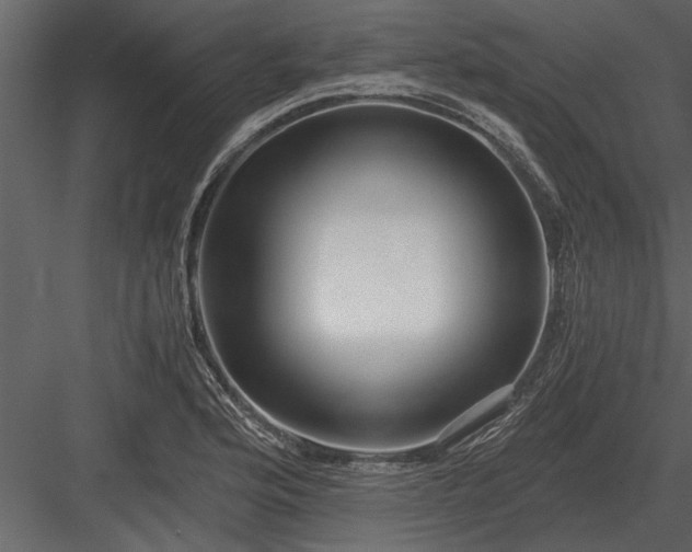 X0000084011176200702232156