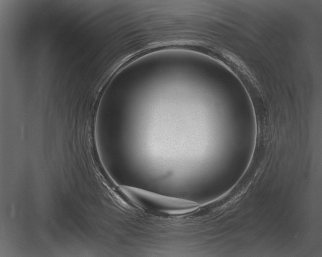 X0000084011177200702232156