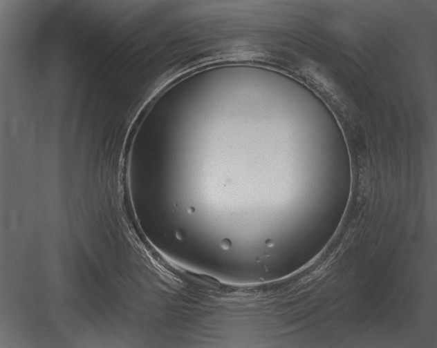 X0000084011178200702232156