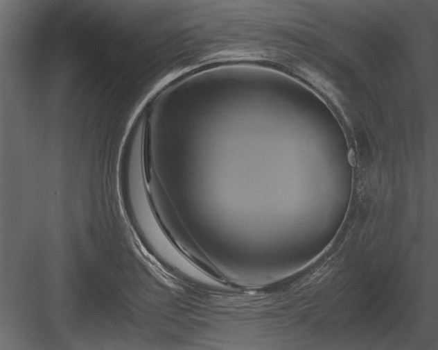 X0000084011179200702232156