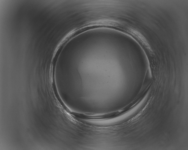 X0000084011180200702232156