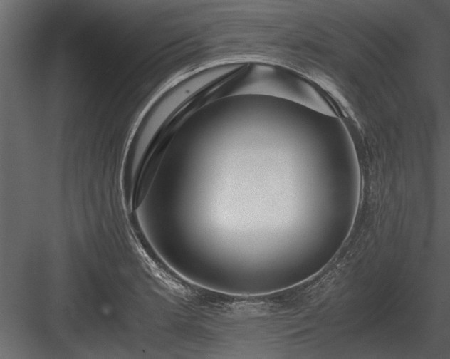 X0000084011181200702232156