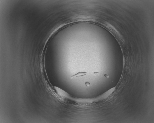 X0000084011182200702232156