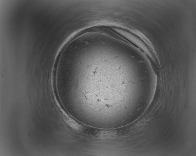 X0000084011183200702232156